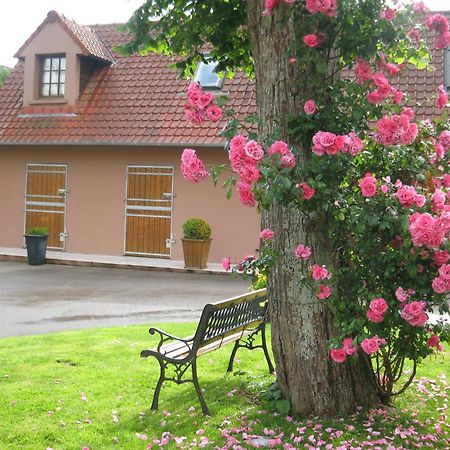 Hotel Du Moulin Aux Draps Desvres Esterno foto