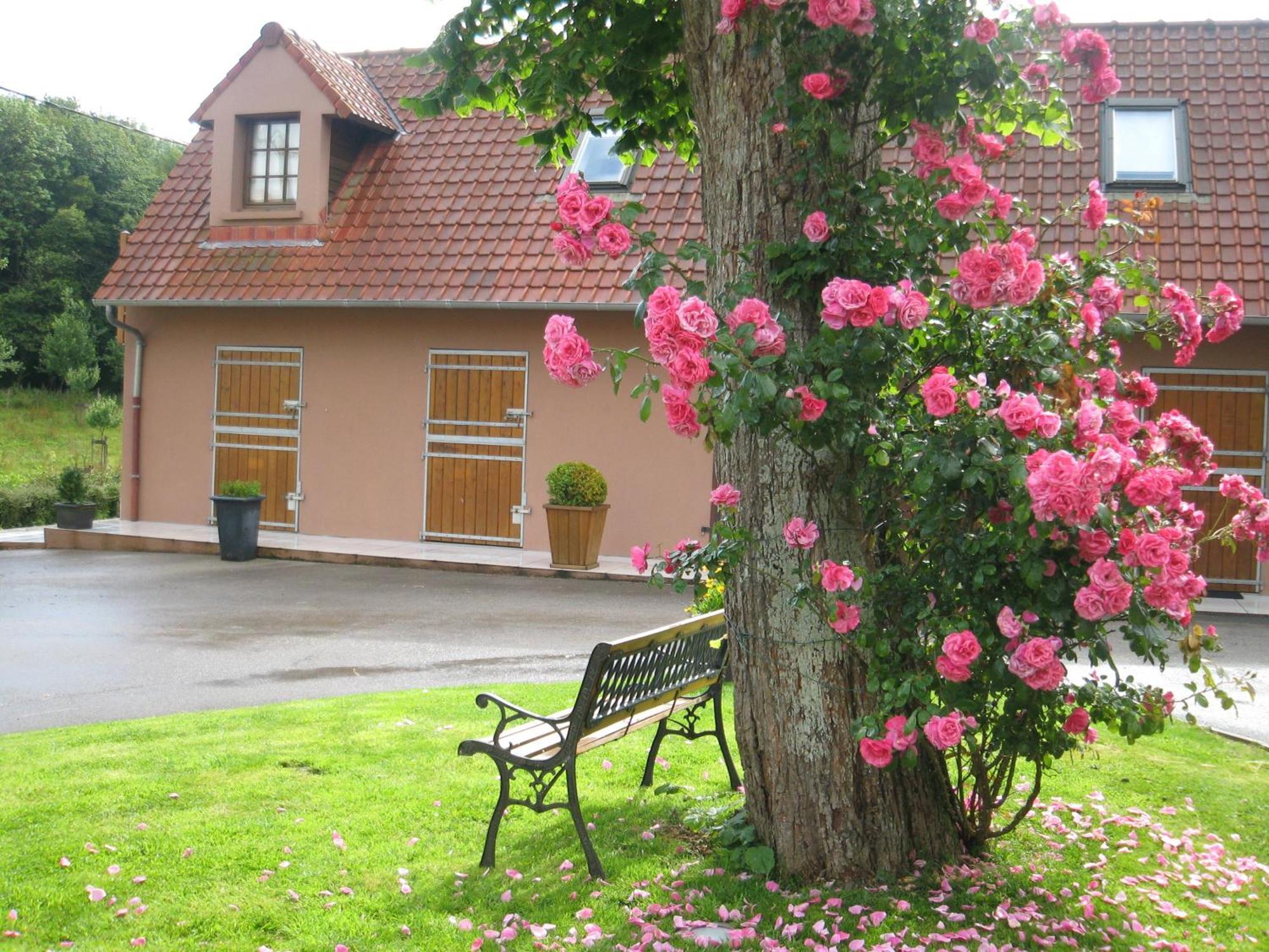 Hotel Du Moulin Aux Draps Desvres Esterno foto